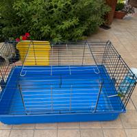 Gabbia coniglio nano