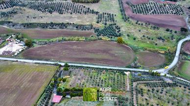 Terreno agricolo 3 HA ca. fronte strada | TR475