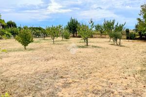 TER. RESIDENZIALE A BUTTRIO