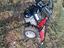 Immagine 3