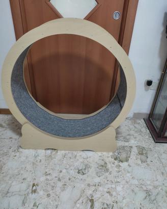 Ruota per gatti
