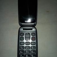 Cell NUOVO per Diversamente Giovani PRIME Saiet