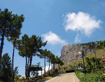 Pianetamaratea dall' 1 al 22 agosto 5 posti letto