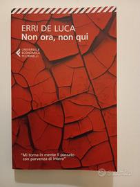 Non ora, non qui. Di Erri de Luca