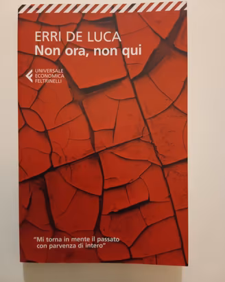 Non ora, non qui. Di Erri de Luca