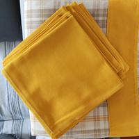 tovaglia rettangolare+12 tovaglio 