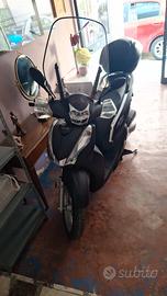 SH300