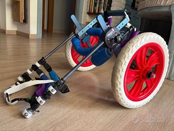 Carrellino ortopedico cane