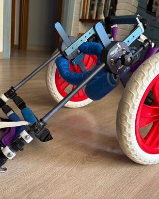 Carrellino ortopedico cane