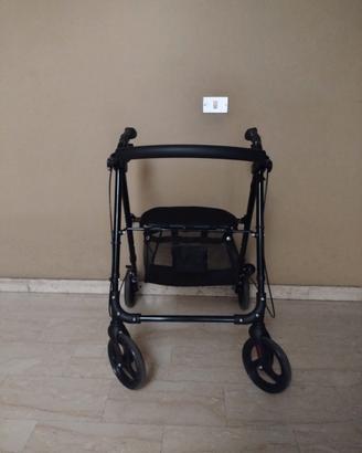 Carrello deambulatore
