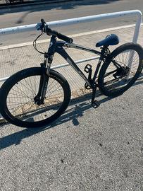 bici C100 