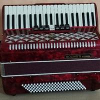 Fisarmonica 120 bassi Roling's accordion