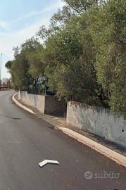 Terreno non edificabile saxa rubra