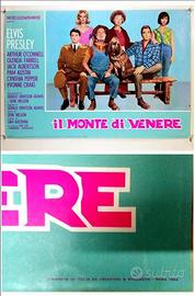 Fotobuste del cinema Elvis Presley