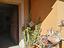 Immagine 12