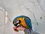 Immagine 4