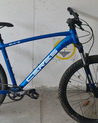 mountain bike Adulto