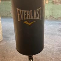 Sacco da boxe Everlast da terra