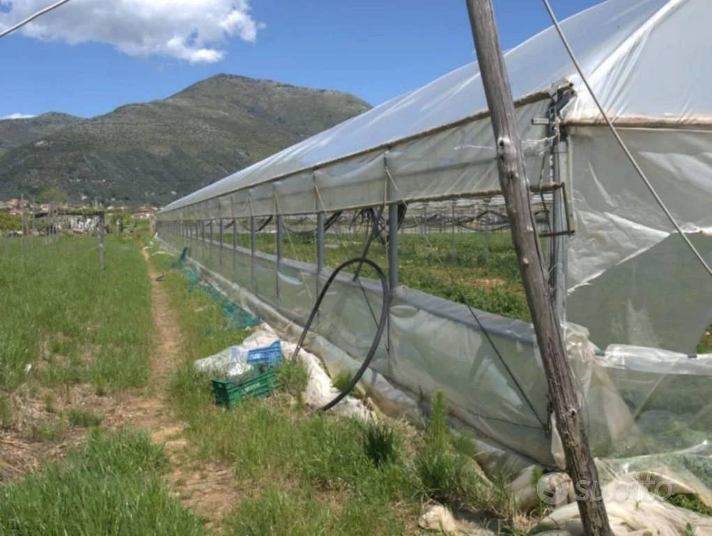 Immobile in asta di 11462 m² a Fondi - Vista 2