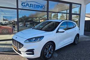 Ford Kuga 1.5 EcoBlue 120 CV 2WD ST-Line
