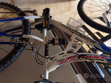 Bici mountain