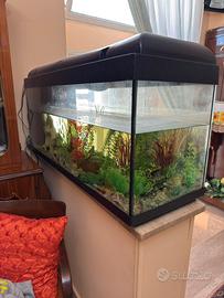 Acquario Completo da 200 Litri