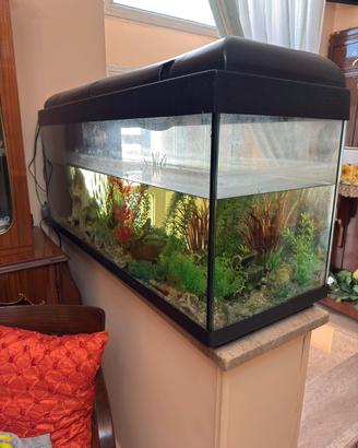 Acquario Completo da 200 Litri