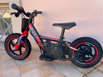 Apollo Sedna 12 pollici