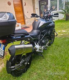 benelli trk 500