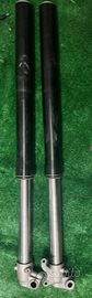 forcelle anteriori