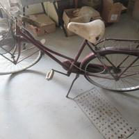 Bicicletta donna Atala