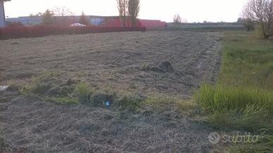 Terreno edificabile sant'agata sul santerno(RA)