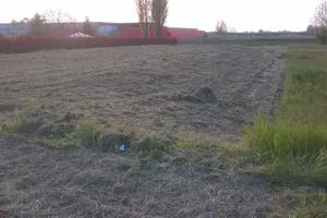 Terreno edificabile sant'agata sul santerno(RA)