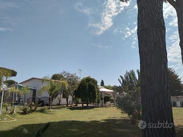 Appartamentini a terracina