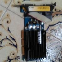 Scheda video desktop Zotac AGP 256 mb