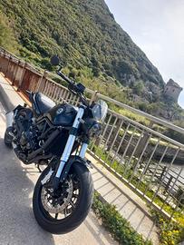Benelli Leoncino 500