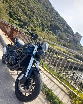 Benelli Leoncino 500