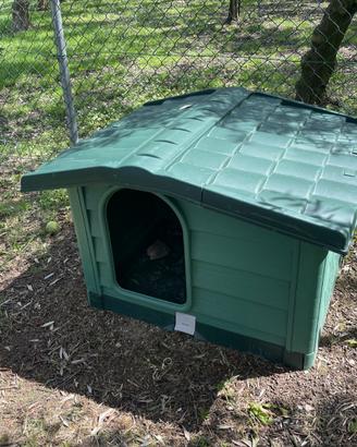 CUCCIA CANE TAGLIA MEDIA