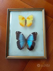 Quadretto vintage con farfalle 