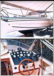 Glastron Coral 800 - 8,10 mt