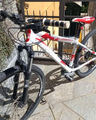 MTB Ferrini r3