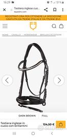 Testiera per cavalli Cob Equestro 