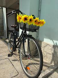 Bicicletta Olanda