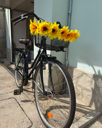 Bicicletta Olanda