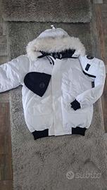 canada goose