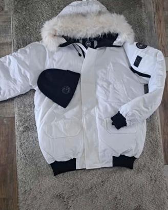 canada goose