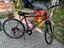 Immagine 5