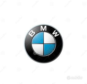 Manuale Officina BMW Motorrad RSD 09-2017