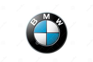 Manuale Officina BMW Motorrad RSD 09-2017