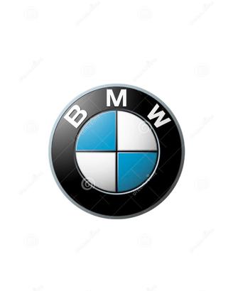 Manuale Officina BMW Motorrad RSD 09-2017